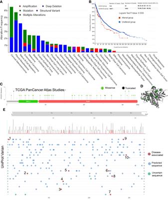 A Pan-Cancer Bioinformatic Analysis of RAD51 Regarding the Values for Diagnosis, Prognosis, and Therapeutic Prediction